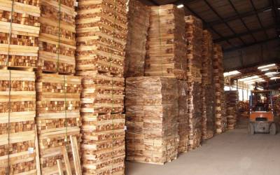 RUBBER WOOD SAWN TIMBER